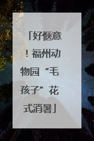 好惬意！福州动物园“毛孩子”花式消暑