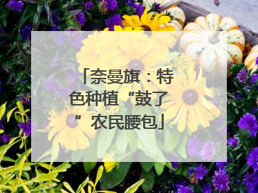 奈曼旗：特色种植“鼓了”农民腰包