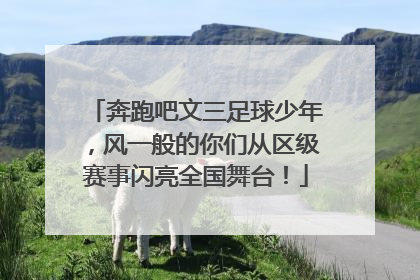 奔跑吧文三足球少年，风一般的你们从区级赛事闪亮全国舞台！
