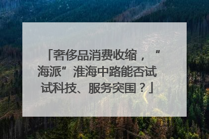 奢侈品消费收缩，“海派”淮海中路能否试试科技、服务突围？