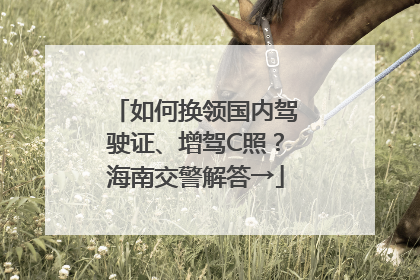 如何换领国内驾驶证、增驾C照？海南交警解答→