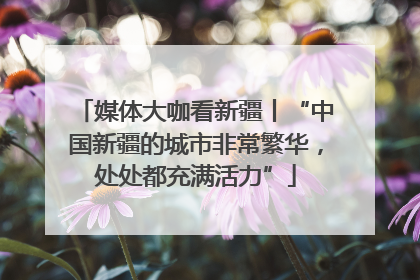 媒体大咖看新疆丨“中国新疆的城市非常繁华，处处都充满活力”