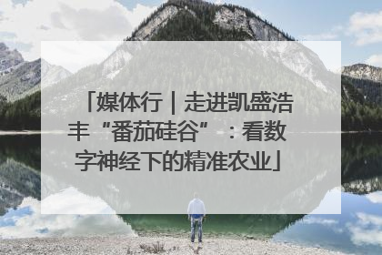 媒体行｜走进凯盛浩丰“番茄硅谷”：看数字神经下的精准农业