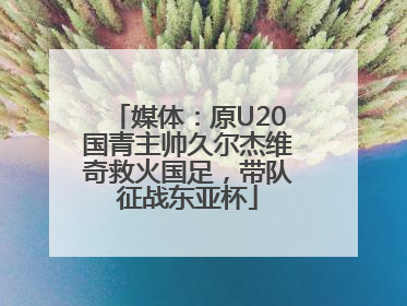 媒体：原U20国青主帅久尔杰维奇救火国足，带队征战东亚杯