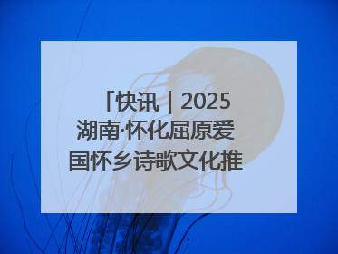 快讯｜2025湖南·怀化屈原爱国怀乡诗歌文化推广季开幕
