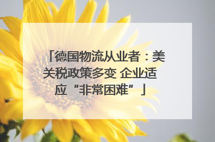 德国物流从业者：美关税政策多变 企业适应“非常困难”