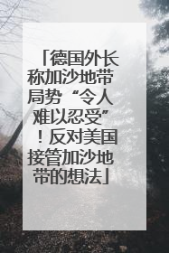 德国外长称加沙地带局势“令人难以忍受”！反对美国接管加沙地带的想法