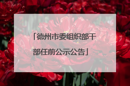 德州市委组织部干部任前公示公告