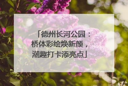 德州长河公园：桥体彩绘焕新颜，潮趣打卡添亮点