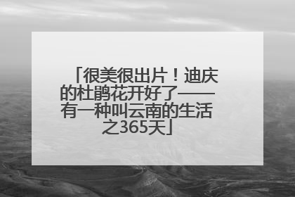 很美很出片！迪庆的杜鹃花开好了——有一种叫云南的生活之365天