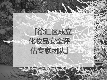 徐汇区成立化妆品安全评估专家团队