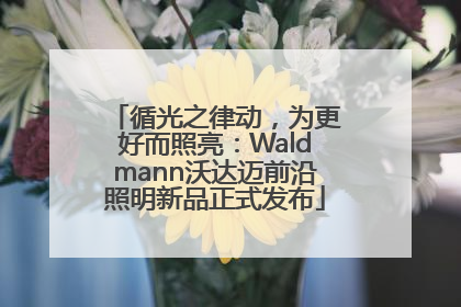 循光之律动，为更好而照亮：Waldmann沃达迈前沿照明新品正式发布