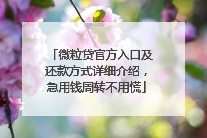 微粒贷官方入口及还款方式详细介绍，急用钱周转不用慌