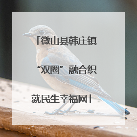 微山县韩庄镇“双圈”融合织就民生幸福网
