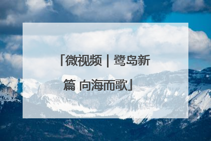 微视频｜鹭岛新篇 向海而歌