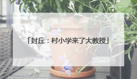 封丘：村小学来了大教授