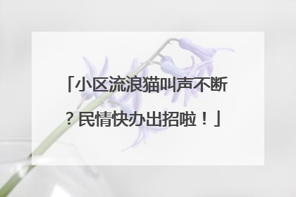 小区流浪猫叫声不断？民情快办出招啦！