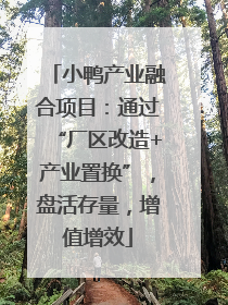 小鸭产业融合项目：通过“厂区改造+产业置换”，盘活存量，增值增效