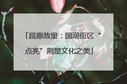 屈原故里：国潮街区“点亮”荆楚文化之美