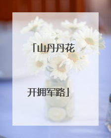 山丹丹花开拥军路