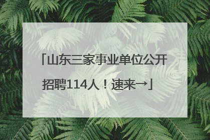 山东三家事业单位公开招聘114人！速来→