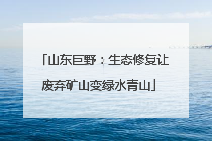 山东巨野：生态修复让废弃矿山变绿水青山