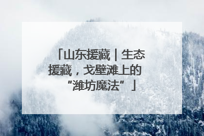 山东援藏｜生态援藏，戈壁滩上的“潍坊魔法”