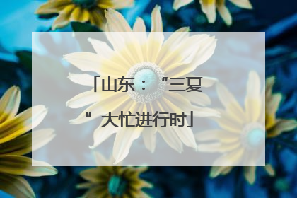 山东：“三夏”大忙进行时
