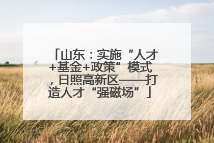 山东：实施“人才+基金+政策”模式，日照高新区——打造人才“强磁场”
