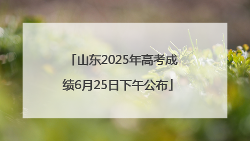 山东2025年高考成绩6月25日下午公布