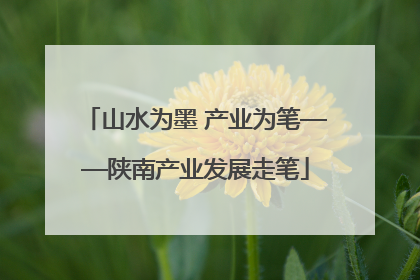 山水为墨 产业为笔——陕南产业发展走笔