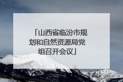 山西省临汾市规划和自然资源局党组召开会议