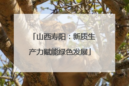 山西寿阳：新质生产力赋能绿色发展
