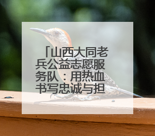 山西大同老兵公益志愿服务队：用热血书写忠诚与担当