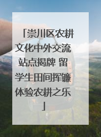 崇川区农耕文化中外交流站点揭牌 留学生田间挥镰体验农耕之乐