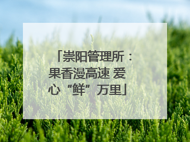 崇阳管理所：果香漫高速 爱心“鲜”万里