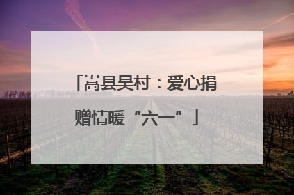 嵩县吴村：爱心捐赠情暖“六一”