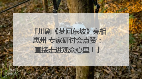川剧《梦回东坡》亮相惠州 专家研讨会点赞：直接走进观众心里！