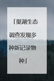 巢湖生态调查发现多种新记录物种
