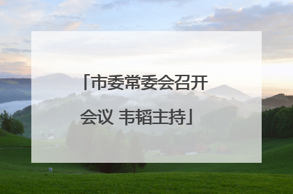 市委常委会召开会议 韦韬主持