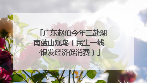 广东赵伯今年三赴湖南蓝山观鸟（民生一线·银发经济促消费）