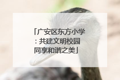 广安区东方小学：共建文明校园 同享和谐之美