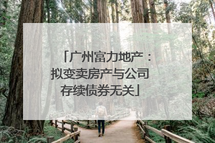 广州富力地产：拟变卖房产与公司存续债券无关