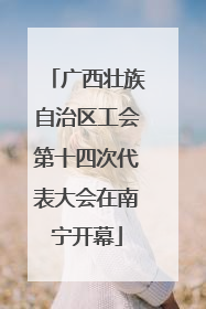 广西壮族自治区工会第十四次代表大会在南宁开幕