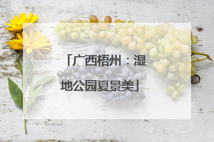 广西梧州：湿地公园夏景美