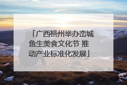 广西横州举办峦城鱼生美食文化节 推动产业标准化发展