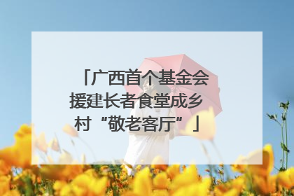 广西首个基金会援建长者食堂成乡村“敬老客厅”