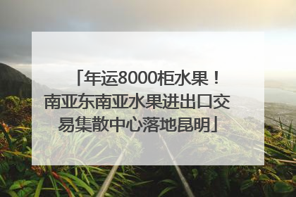 年运8000柜水果！南亚东南亚水果进出口交易集散中心落地昆明