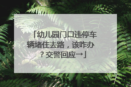 幼儿园门口违停车辆堵住去路，该咋办？交警回应→
