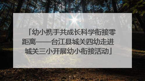 幼小携手共成长科学衔接零距离——台江县城关四幼走进城关三小开展幼小衔接活动